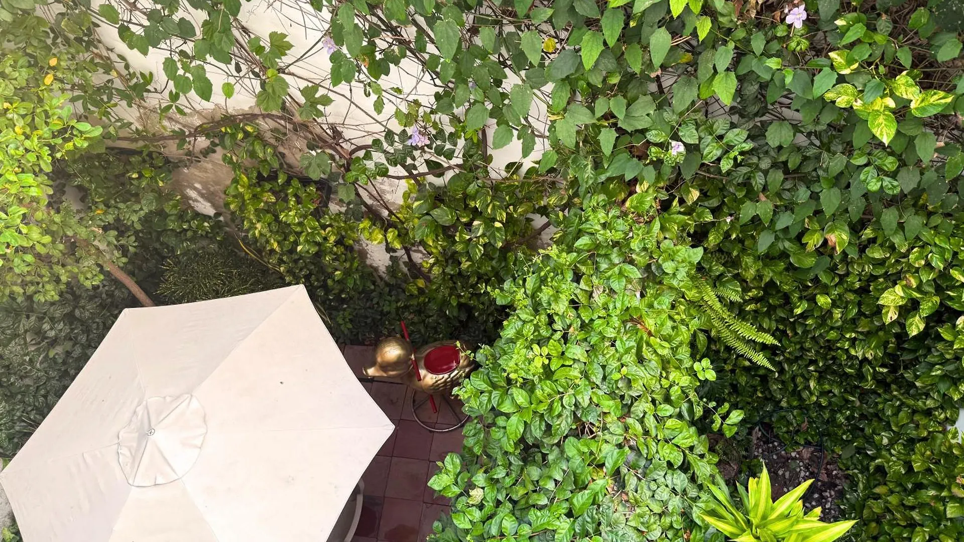 Casa Bugambilia - Alma Hotels Santa Marta  Colombia